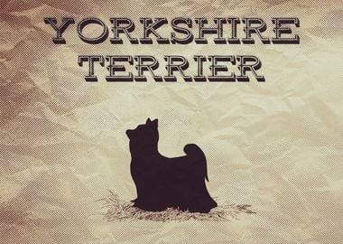 Retro Yorkshire Terrier