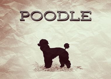 Retro Poodle