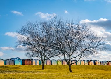 Summer Sheds