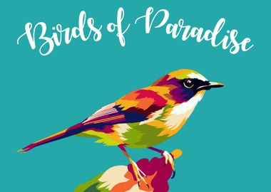 Birds of Paradise 