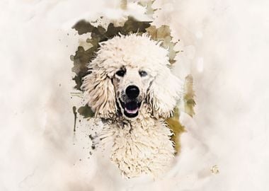 Poodle In Sepia Effect