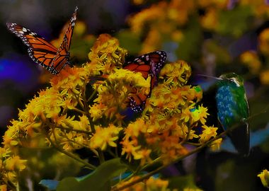 hummingbird and monarch