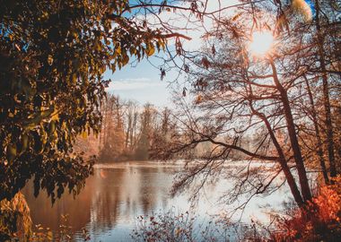 Lago en el bosque