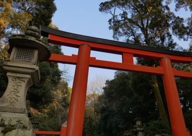 Nara Torii