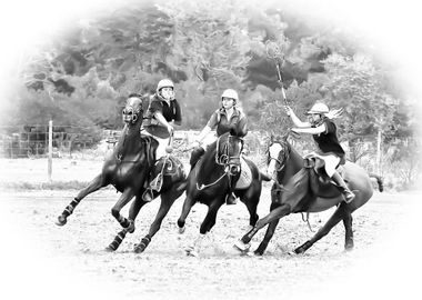 Polo Cross Horses in full