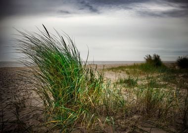 On A Beach