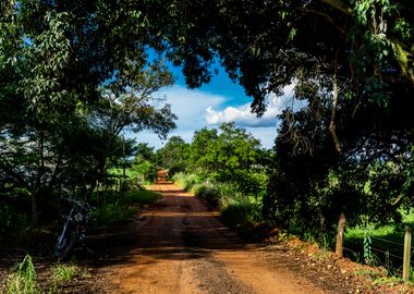 Rural road with motorcycle