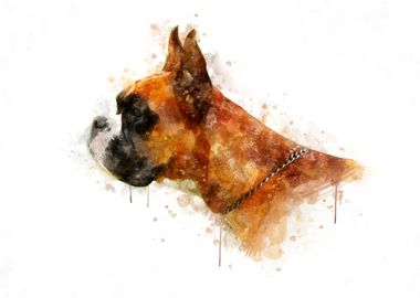 Boxer watercolor