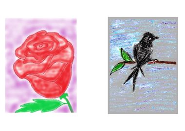 Rose and Black Maya Bird