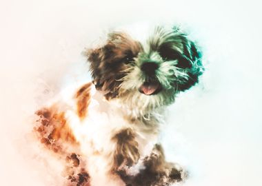 Shih Tzu Painting