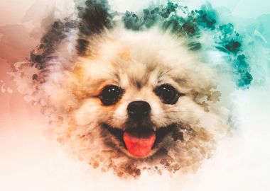 Pomeranian Watercolor