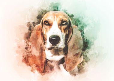 Basset Hound Watercolor