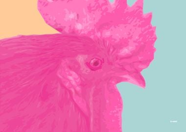 Pink Rooster