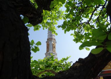 Wat Phra Kaeo through tree