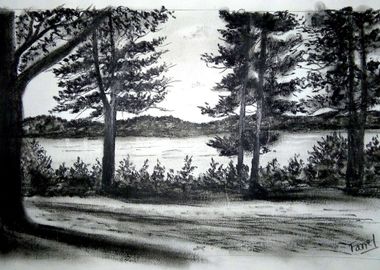 A Unique scenery charcoal 