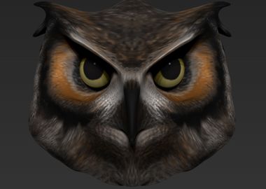 Owl Metallic