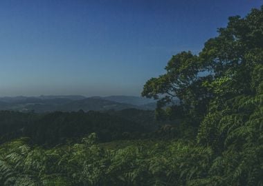 Forest Skyline piece 2