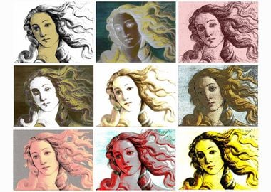 Warhol Venus