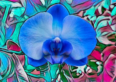 scenic blue orchid