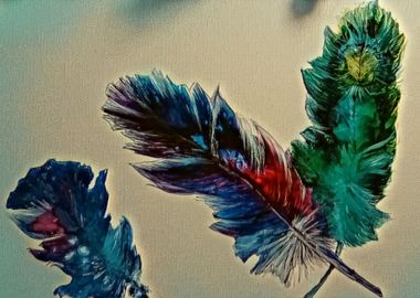 Feathers of a Kind