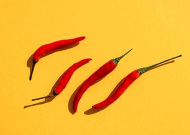 Chillies for art