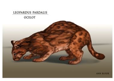 Ocelot Rendered Animal