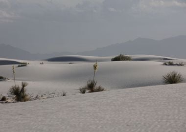 White Sands