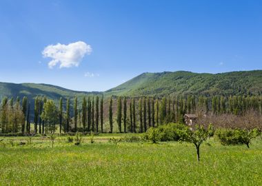 Orpiano countryside Marche