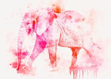 Elephant Watercolor