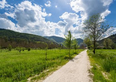 Orpiano countryside Marche