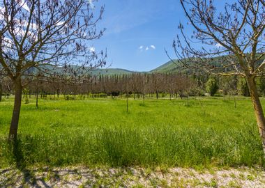 Orpiano countryside Marche