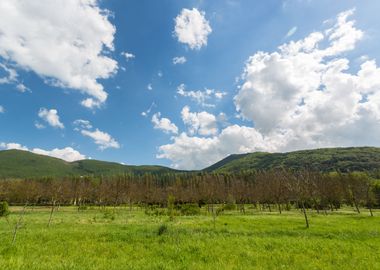 Orpiano countryside Marche