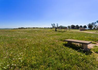 Tarquinia countryside