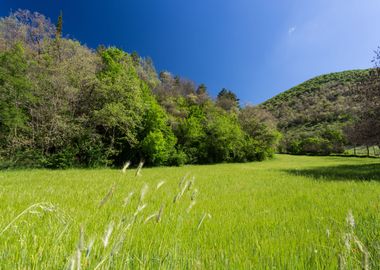 Orpiano countryside Marche