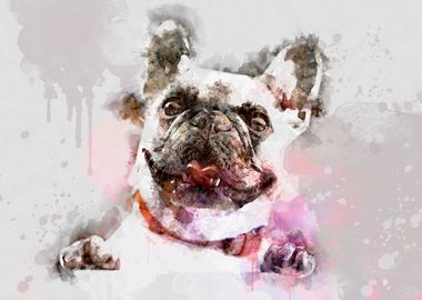 French Bulldog Watercolor