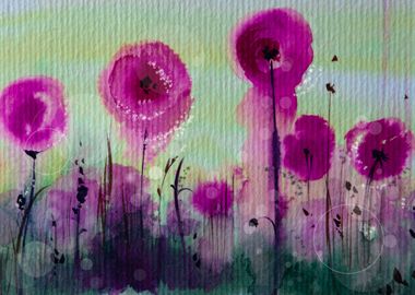 Pink Poppies 