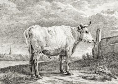 Standing Bull 1817 By Jean