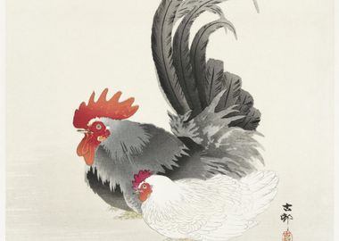 Chicken And Cock 1900 193