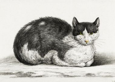 Lying Cat 1800 By Jean Ber