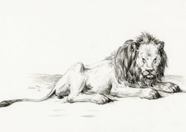 Lying Lion 1822 By Jean Be