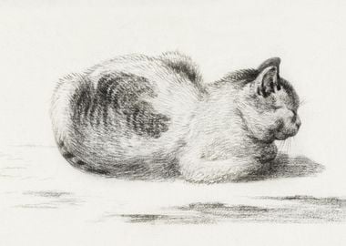 Reclining Cat By Jean Bern