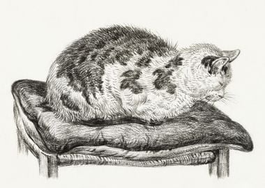 Lying Cat On A Pillow 1828