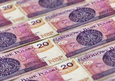 20 Polish Zloty pattern