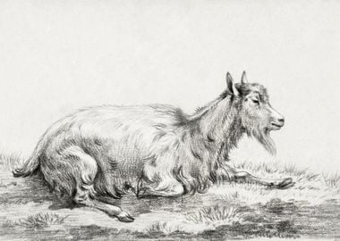 Lying Goat 1813 By Jean Be