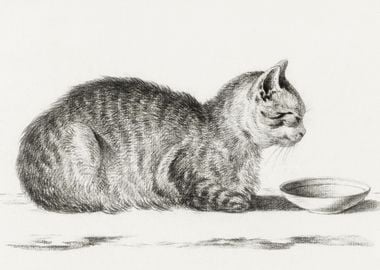 Lying Cat For A Dish 1812