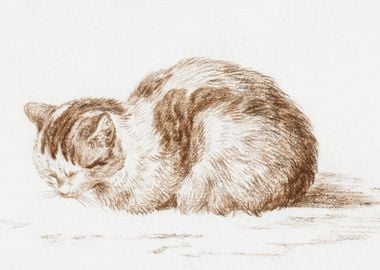 Lying Cat 1812 By Jean Ber