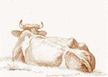 Lying Cow Seen From Behind