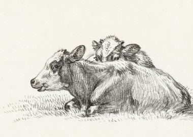 Two Lying Cows 1826 By Jea