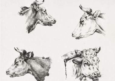 Four Bull Heads 1809 1833