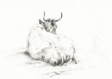 Lying Cow 1821 By Jean Ber